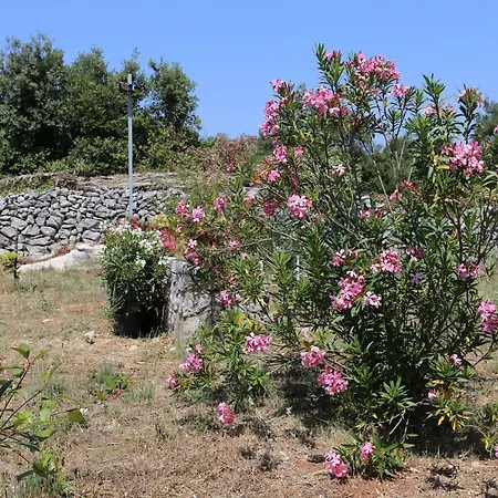 Апартаменты Drace 10211b Janjina