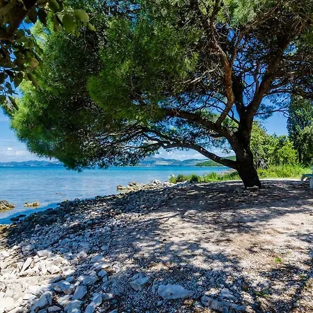 Апартаменты Drace 10211b Janjina