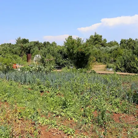 アパート Drace 10211b